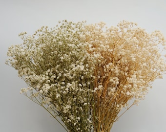Dried Baby's Breath Flowers: White, Beige, 18-Inch Stems for Bouquets
