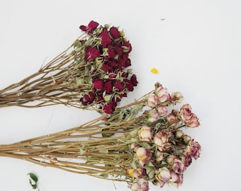 Rosas secas, 2 colores (como se muestra en el video) para decoración del hogar y como regalos navideños.