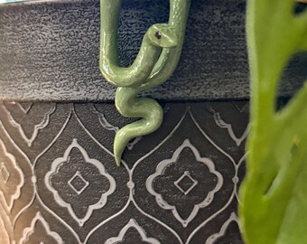 Snake Plant Buddy
