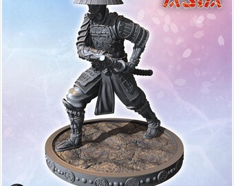 Samurai holding a sword and wearing traditional armor with a wide hat (4)
