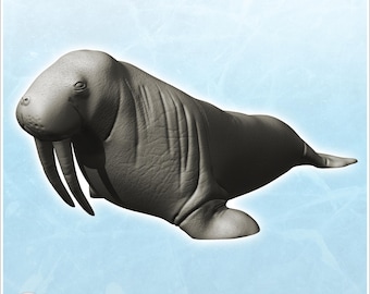 Walrus with tusks (17)