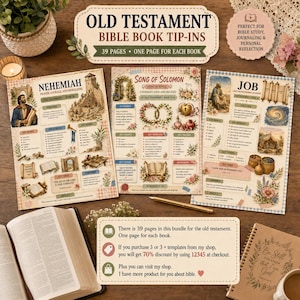 Könnte beinhalten: Eine Sammlung von Einlegeblättern für das Alte Testament der Bibel mit 39 Seiten, die illustrierte Zusammenfassungen für jedes Buch enthalten. Die Seiten zeigen Nehemia, das Hohelied und Hiob mit detaillierten Grafiken und Texten.