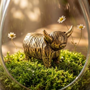 May include: A metallic brass-toned Highland cow figurine standing on a bed of vibrant green moss inside a clear glass terrarium. Two small white daisy flowers with yellow centers are positioned behind the cow within the glass enclosure.