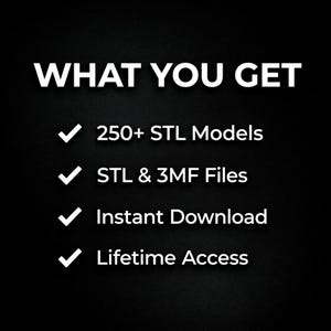Op de afbeelding: Een zwarte afbeelding met witte tekst die WHAT YOU GET leest, gevolgd door een lijst met kenmerken: 250+ STL Models, STL & 3MF Files, Instant Download en Lifetime Access. Elk item in de lijst wordt voorafgegaan door een wit vinkje.