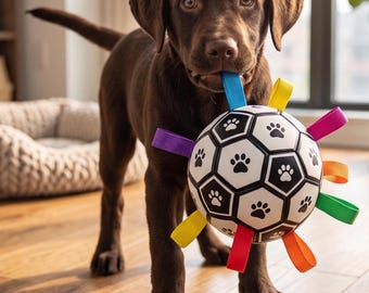 Soccer Ball Pet Toy – Durable Chew Toy with Colorful Ribbons for Dogs & Cats