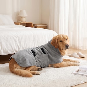 May include: A golden retriever dog wearing a grey, absorbent, towel-like bathrobe. The robe features a wrap-around design with black hook-and-loop fastener straps along the side and a high collar that covers the neck area for drying.