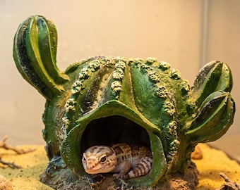 Realistic Cactus Reptile Hide, Desert Terrarium Cave for Geckos, Snakes, Tarantulas