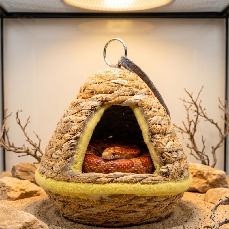 May include: A dome-shaped woven grass hideout for reptiles featuring a triangular entrance lined with yellow felt. A metal ring is attached to the top for hanging. Inside the structure, an orange and brown patterned corn snake is coiled.