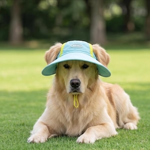 May include: A light blue pet visor hat with bright yellow side panels and a chin strap. The front of the visor features an oval patch with the text MIKI PET. The hat is designed with openings for ears and is worn by a golden-coloured dog.