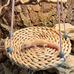 May include: A light-colored leopard gecko resting on a circular, woven seagrass platform. The platform is suspended by light-colored ropes adorned with smooth, matte blue wooden beads at each corner, creating a hanging swing structure.