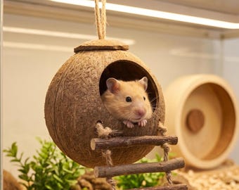 Natural Coconut Hamster Hideout with Wooden Ladder, Eco-Friendly Small Animal Nest