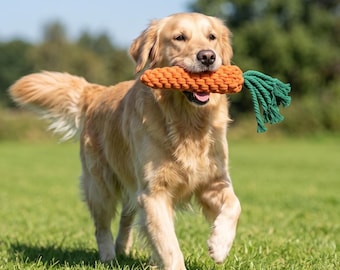 Handgefertigtes Baumwollseil-Karotten-Hundespielzeug, natürliches geflochtenes Kauspielzeug, Zahngesundheit, kleine und mittelgroße Hunde