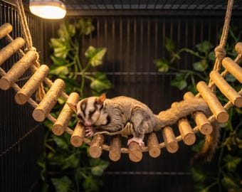 Natural Wooden Ladder Bridge – Small Animal Cage Accessory Toy