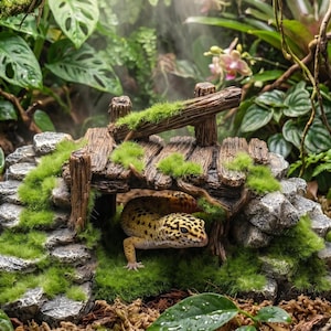 Könnte beinhalten: Ein Leopardgecko mit gelben und schwarzen Flecken ruht unter einer dekorativen Brückenstruktur. Die Brücke besteht aus braunem, holztexturiertem Material und grauen steinartigen Blöcken, bedeckt mit Flecken aus hellgrünem Kunstmoos.