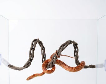 Enredadera flexible para reptiles con ventosas / Decoración de terrario de jungla musgosa