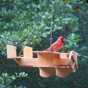 Biplane cypress feeder