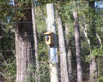 Blue Bird House  Nesting Box