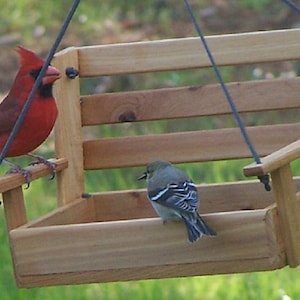 Porch swing feeder