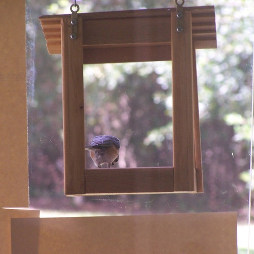 Window Bird Feeder Etsy