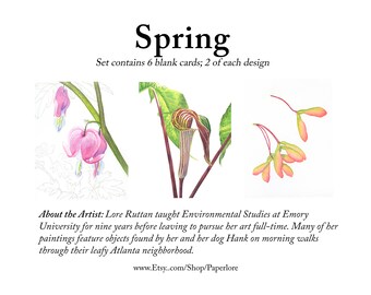 Spring Flowers and Seeds Set of 6 Blank Notecards featuring Watercolors by Lore Ruttan