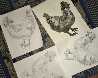 Gallo