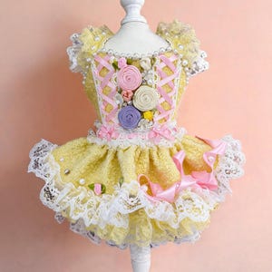Handmade Monet Pet Coat, Fall Winter Puppy Jacket for Cat Dog Tea Party Photo Back to School