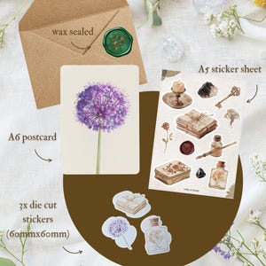 May include: A collection of stationery featuring an A6 postcard with a purple allium flower, an A5 sticker sheet, and three die-cut stickers (60mm x 60mm). A wax-sealed envelope and floral decorations are also present.