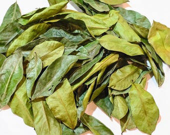 Dried Soursop Leaves Herbal Tea Hojas De Guanabana