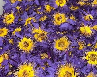 Blue Lotus Herbal Tea Ceylon Organic Nymphaea Caerulea Whole Flower Infusion Tea