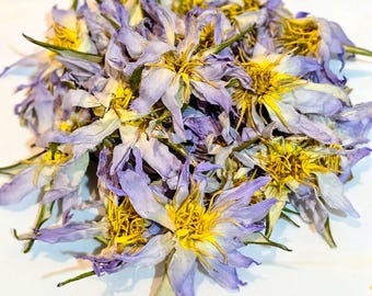 Egyptian Blue Lotus Herbal Tea: Organic Nymphaea Caerulea Flower Infusion