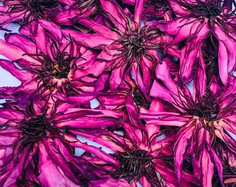 Dried Red Lotus Flowers | Ceylon Nymphaea Rubra Whole Flowers for Tea, Meditation, Crafts