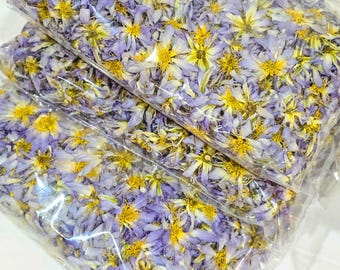 Egyptian Blue Lotus ( Nymphaea Caerulea ) Whole Flower Herbal Tea Infusion