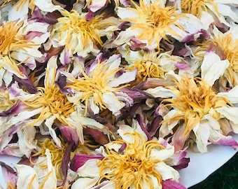 White Lotus Flower| Nymphaea Ampla Water Lily Organic Pure Natural Ceylon Herbal