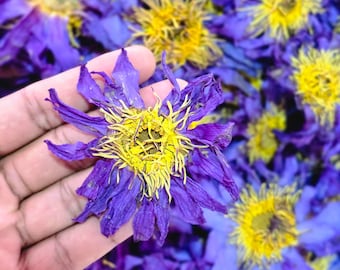 Blue Lotus Whole Flower Herbal Tea Organic Ceylon Nymphaea Caerulea Flower Infusion