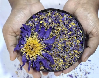 Blue Lotus Petals & Stamens Tea Cut – Nymphaea Caerulea Botanical Herbal Blend
