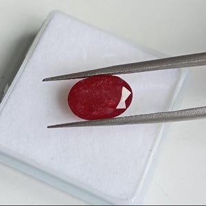 Op de afbeelding: Een levendige, ovaal geslepen rode edelsteen vastgehouden door een zilverkleurige metalen pincet. De edelsteen heeft een gefacetteerd oppervlak dat licht reflecteert en een diepe karmozijnrode tint vertoont. De steen bevindt zich boven een witte vierkante houder.
