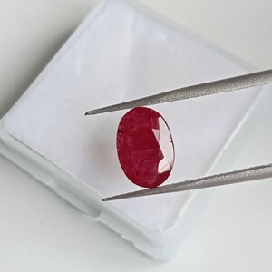 Könnte beinhalten: Ein oval geschliffener Rubin mit tiefroter Farbe und facettierter Oberfläche, der von einer silberfarbenen Metallpinzette gehalten wird. Der Edelstein zeigt interne Einschlüsse und Lichtreflexionen auf seiner polierten, roten Oberfläche.