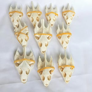 Può includere: Una collezione di dieci teschi di animali color bianco sporco e appuntiti disposti a griglia. Ogni teschio presenta una distinta struttura superiore a tre punte ed è fissato con un sottile elastico arancione brillante avvolto al centro.