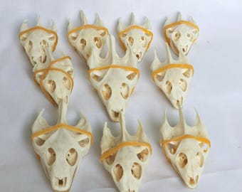 Real Turtle Skulls Set of 10, Cleaned Reptile Skull Specimens, Curiosity Cabinet, Witchy Altar Decor, Oddities Gift