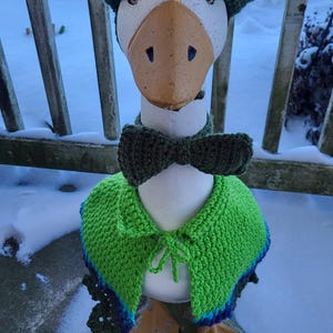 Lucky Leprechaun crochet porch goose dress outfit