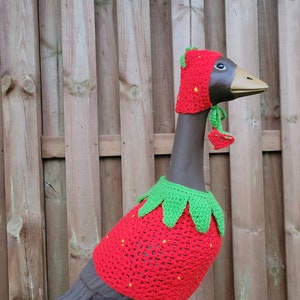 Strawberry crochet porch goose dress
