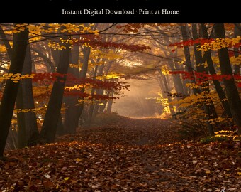 Autumn Forest Path Art Print | Digital Download | Fall Woodland AI Wall Art | Printable Poster