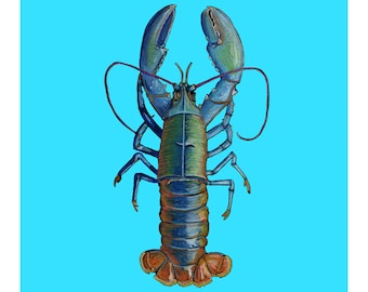 Rainbow Lobster Mini Print, Bold Colour Wall Art, Original Pastel Drawing, Small Coastal Print, Lobster Gift