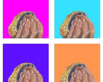 Hermit Crab Pop Art Print, There's No Place Like Home, Set of Four, Bold Colour Wall Art, Statement Print