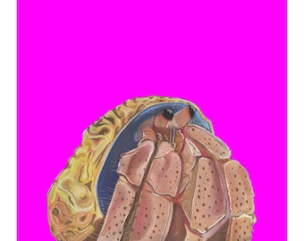 Hermit Crab Mini Print, There's No Place Like Home, Bold Colour Wall Art, Small Coastal Print, Fun Sea Life Gift