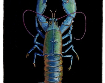 Rainbow Lobster Giclee Print, Original Pastel Drawing, Marine Wildlife Art