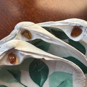Peut inclure: Deux coquillages blancs décorés d'un motif de feuilles vertes à l'intérieur. Chaque coquillage présente une petite pierre polie de couleur ambre incrustée près de la charnière. Les bords extérieurs sont peints avec une finition blanc mat.