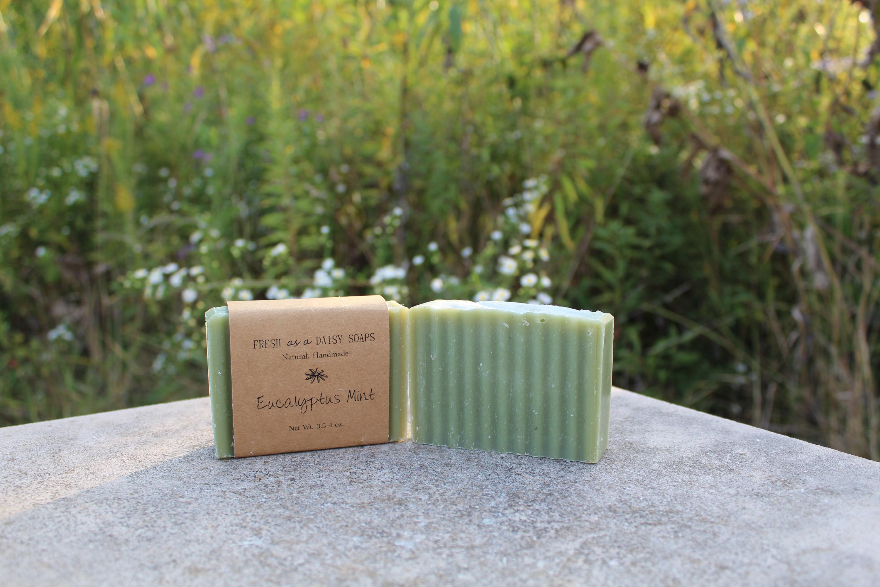 Eucalyptus Mint, Natural Handmade Soap, Cold Process Soap, Vegan - Etsy