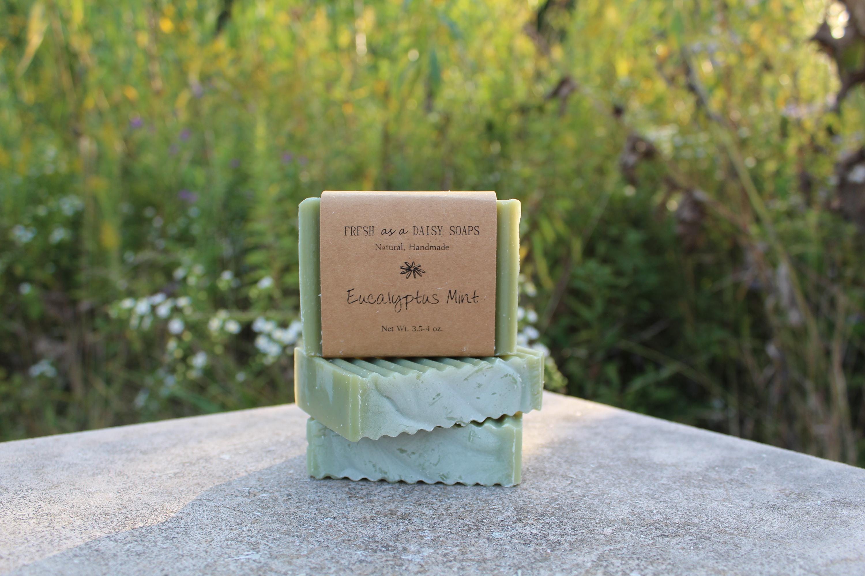 Eucalyptus Mint, Natural Handmade Soap, Cold Process Soap, Vegan - Etsy