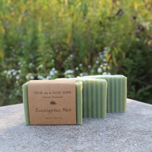 Eucalyptus Mint, Natural Handmade Soap, Cold Process Soap, Vegan - Etsy